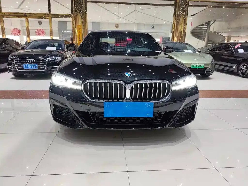 BMW 5 Series 2022 из CN, фото 7