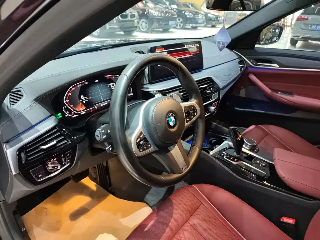 BMW 5 Series 2022 из CN, фото 4