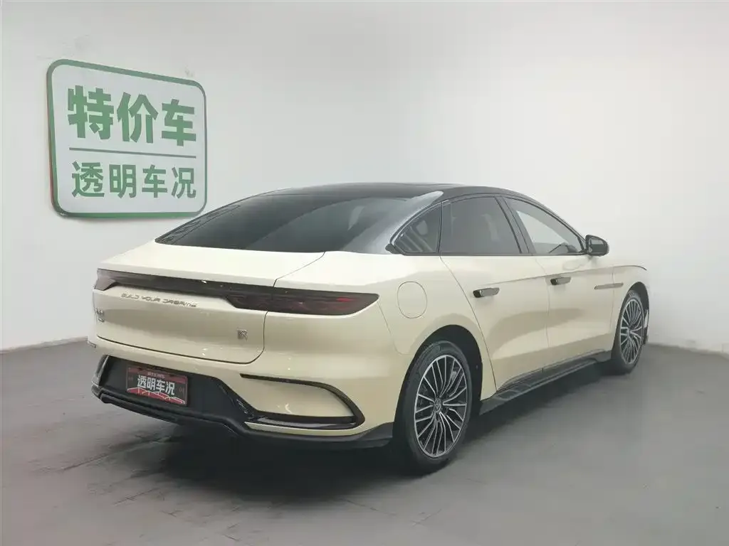 BYD Han — фото 10