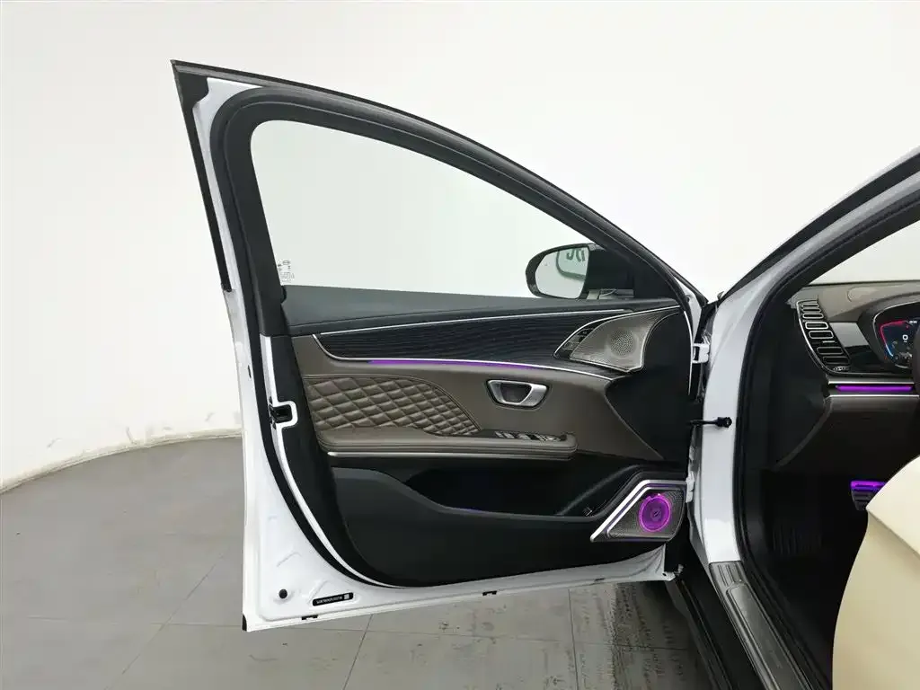 BYD Han — фото 7
