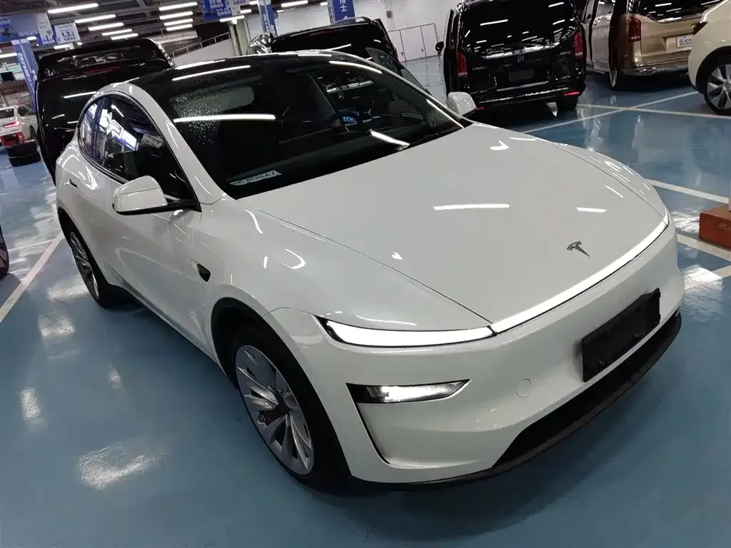 Tesla Model Y 2025 из CN, фото 9