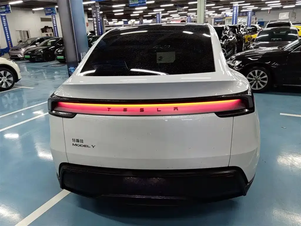 Tesla Model Y 2025 из CN, фото 10