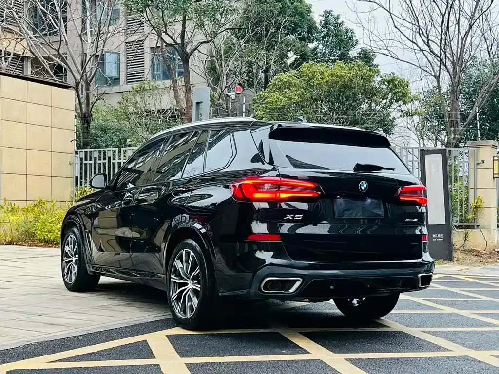 BMW X5 (Import) 2021 из CN, фото 6