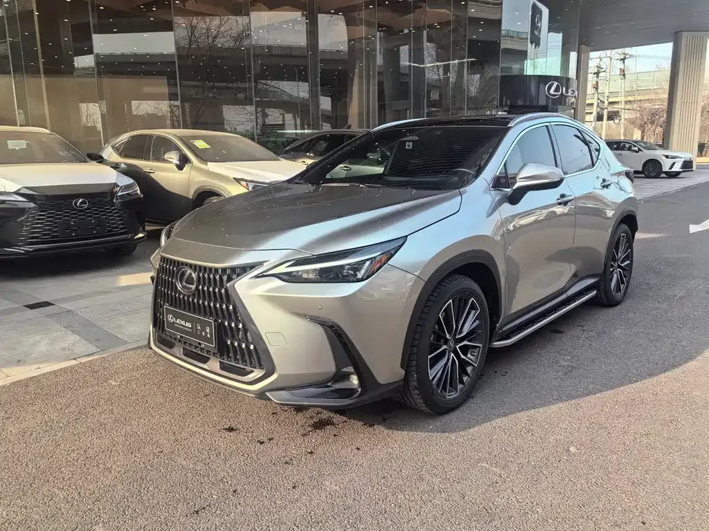 Lexus NX 2022 из CN, фото 1