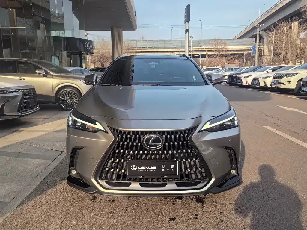 Lexus NX 2022 из CN, фото 6