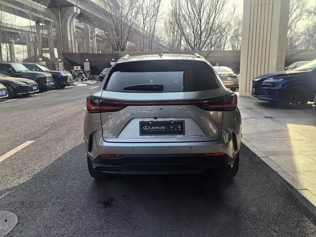 Lexus NX 2022 из CN, фото 10