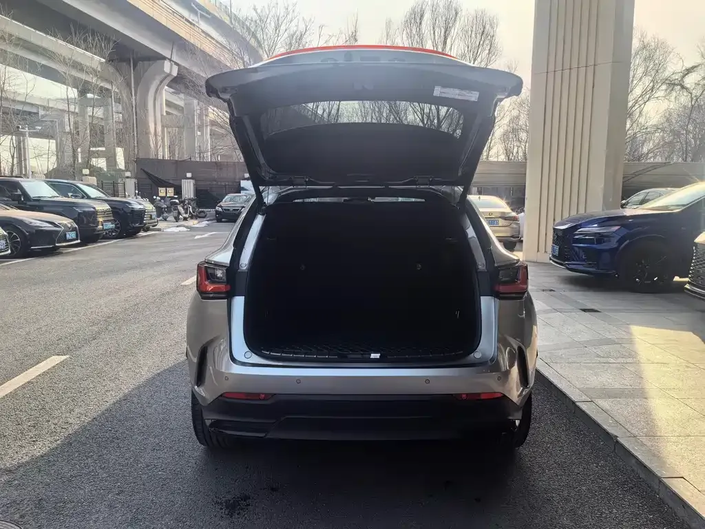 Lexus NX 2022 из CN, фото 9