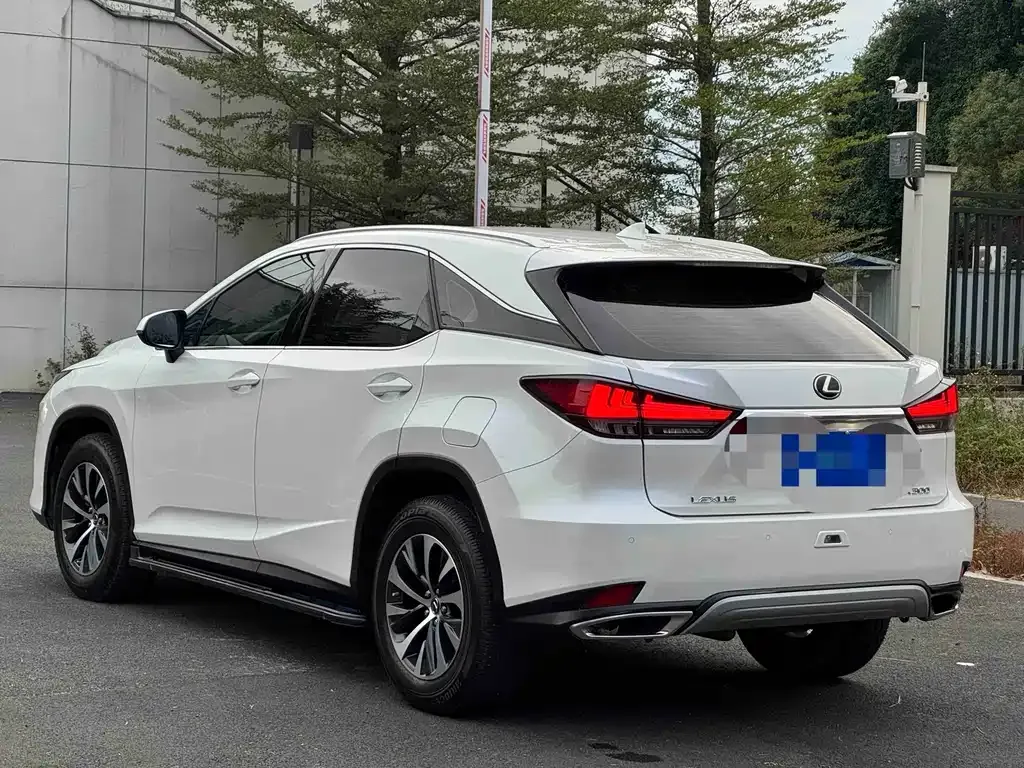 Lexus RX — фото 7