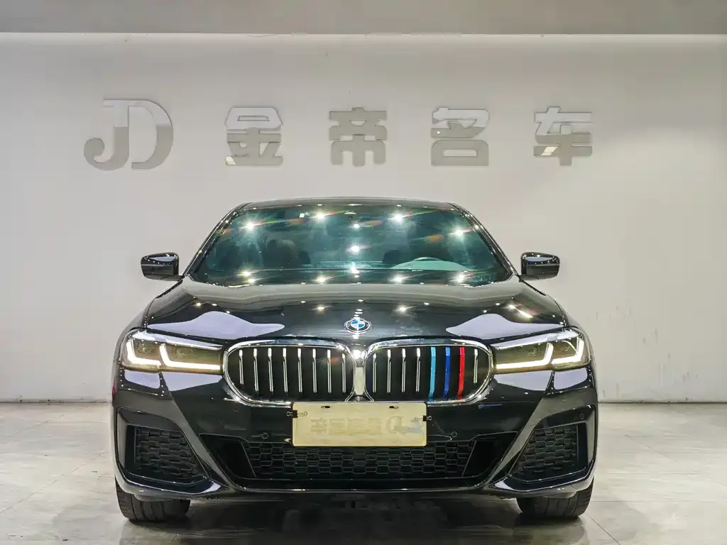 BMW 5 Series 2023 из CN, фото 3