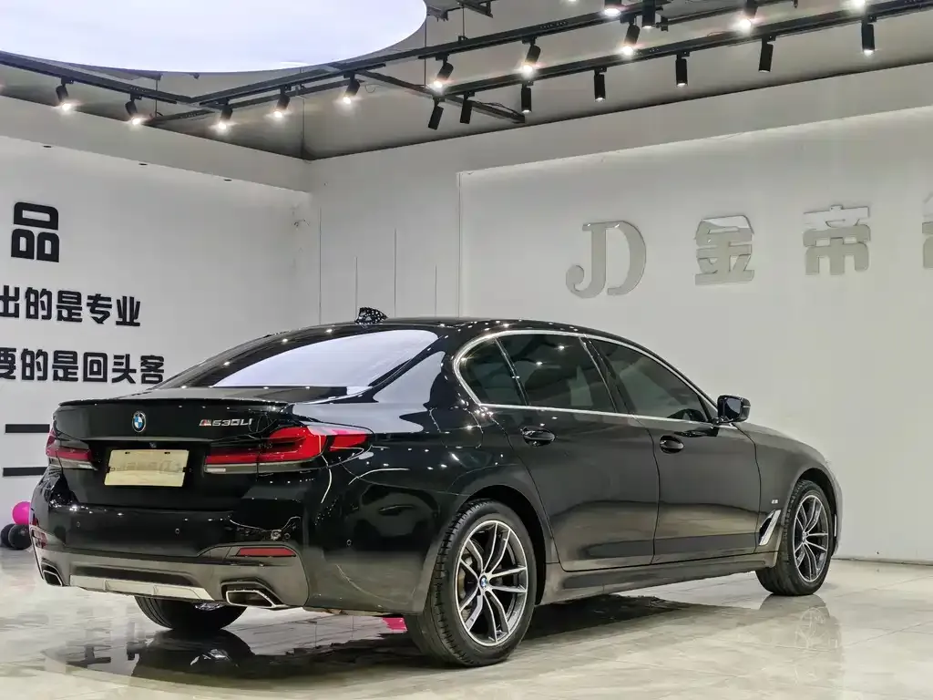BMW 5 Series 2023 из CN, фото 7