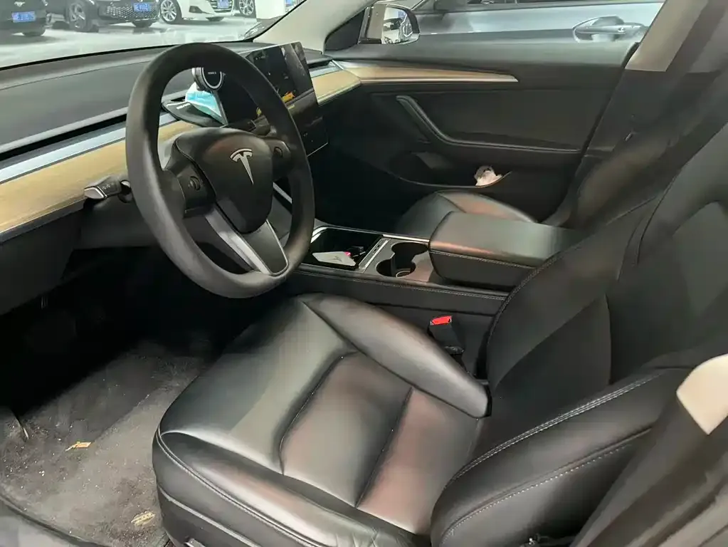 Tesla Model 3 2023 из CN, фото 4