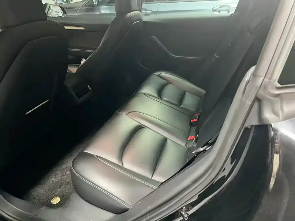 Tesla Model 3 2023 из CN, фото 9