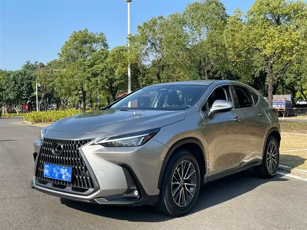 Lexus NX 2023 из CN, фото 1