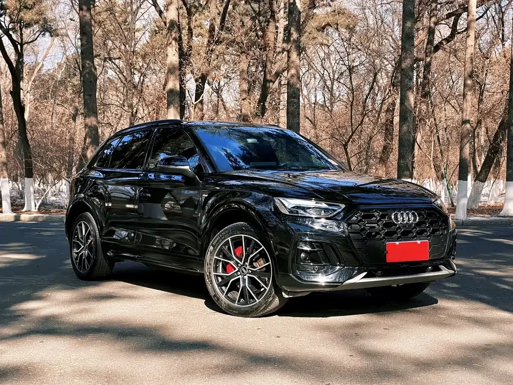Audi Q5L — фото 3