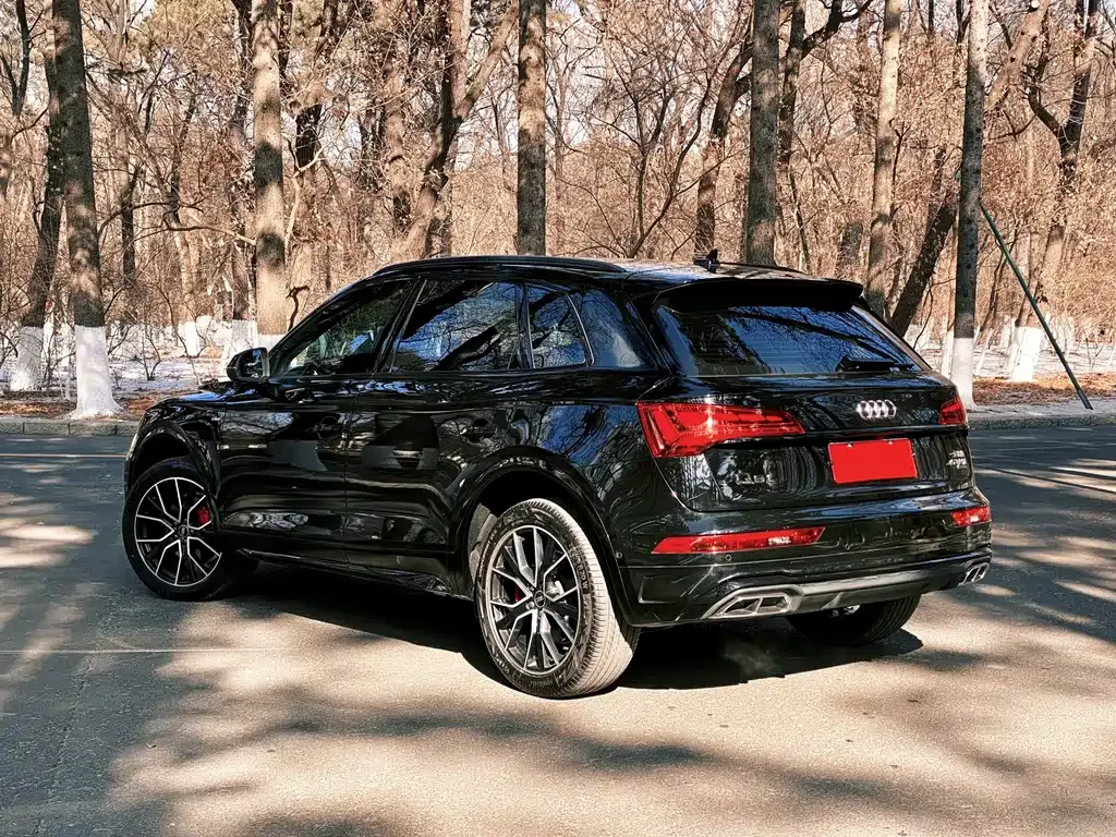 Audi Q5L — фото 6