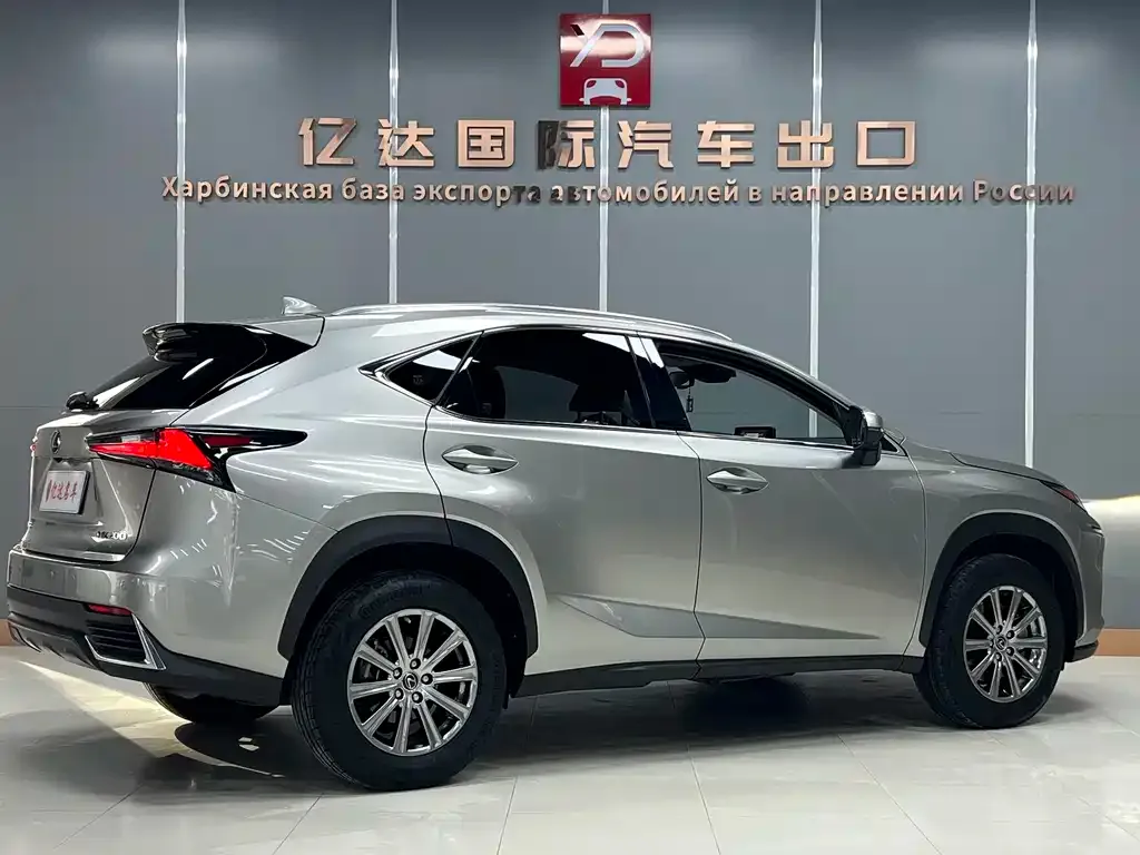 Lexus NX 2021 из CN, фото 6