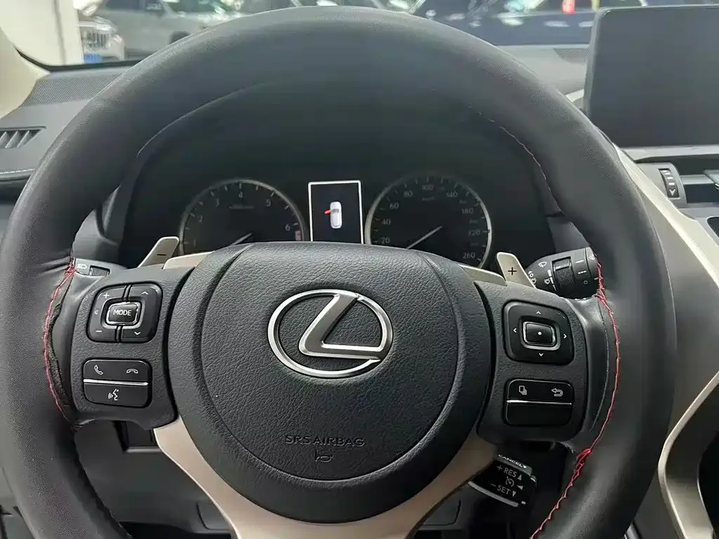 Lexus NX 2021 из CN, фото 4