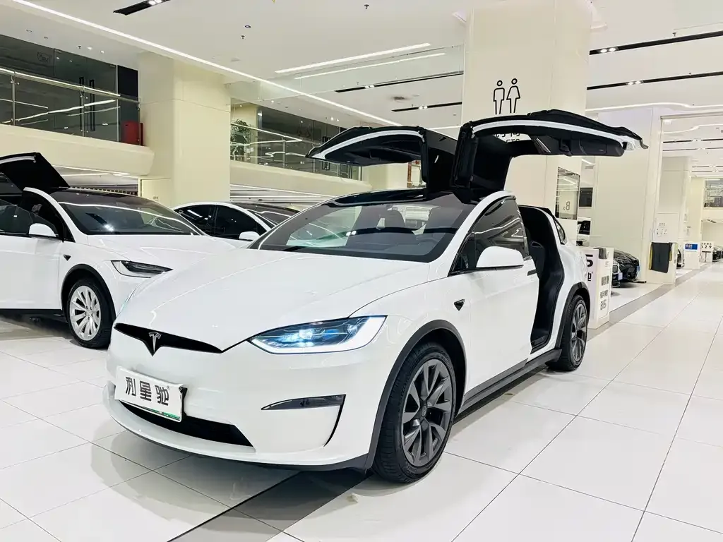 Tesla Model X — фото 1