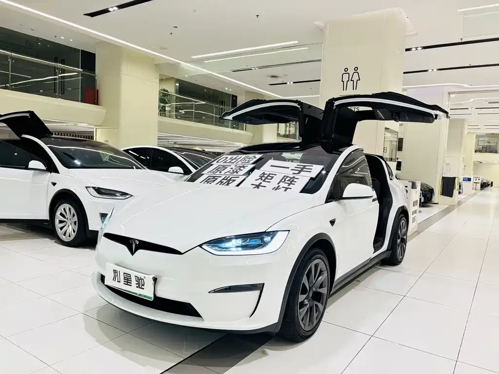Tesla Model X — фото 2
