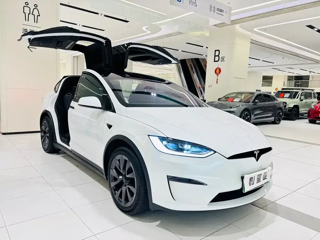 Tesla Model X — фото 4