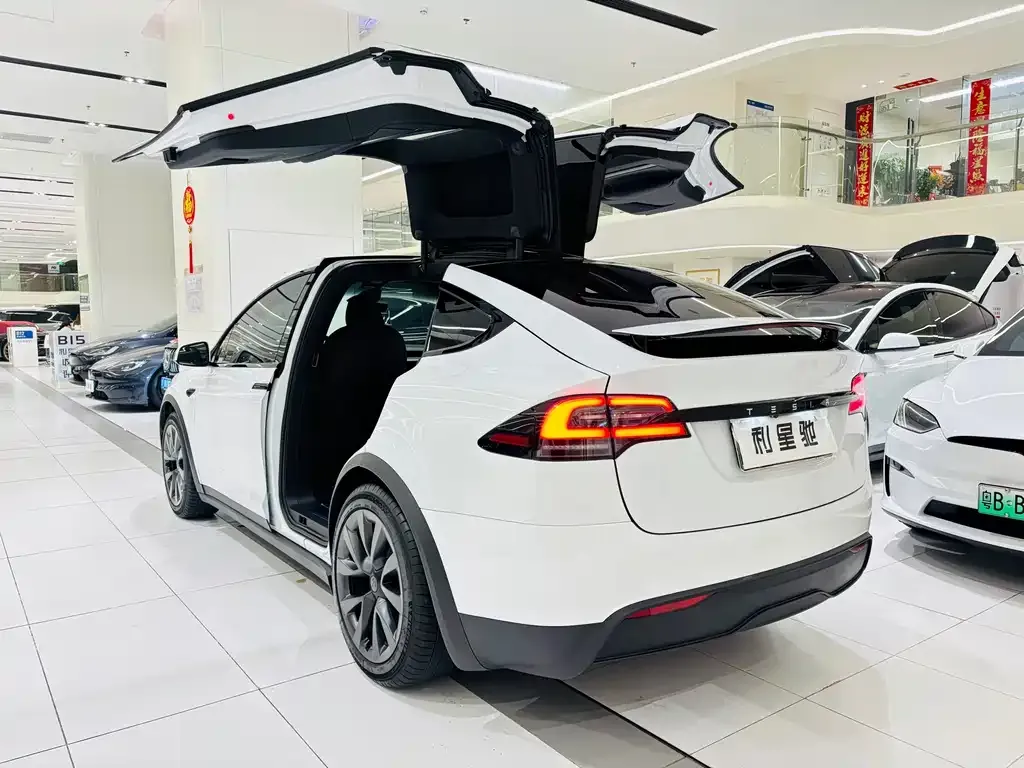 Tesla Model X — фото 6