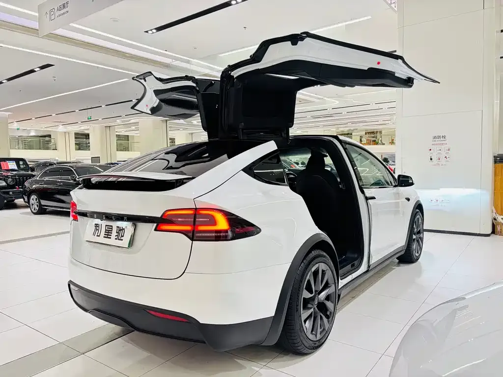Tesla Model X — фото 8