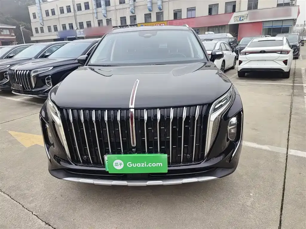 Hongqi HS7 PHEV 2024 из CN, фото 6