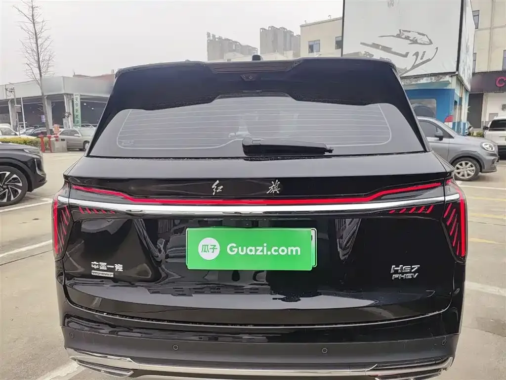 Hongqi HS7 PHEV 2024 из CN, фото 8