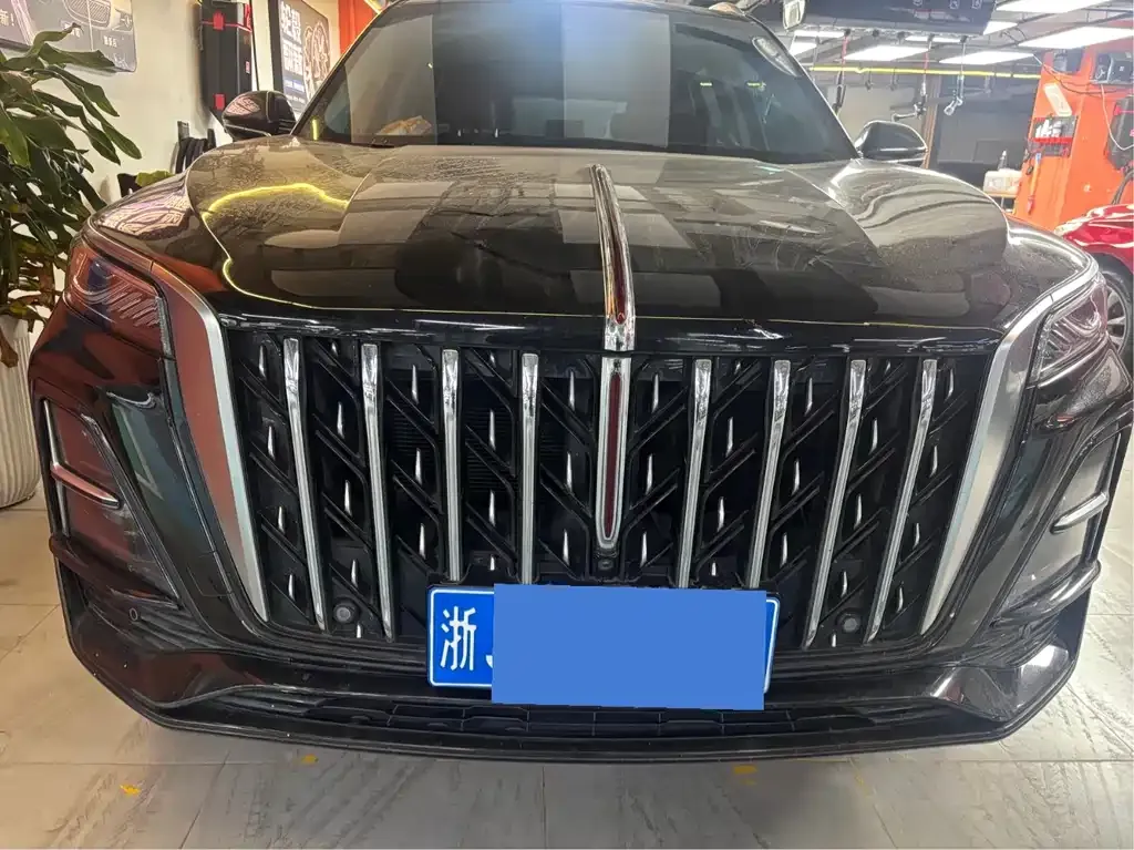 Hongqi HS5 2024 из CN, фото 10