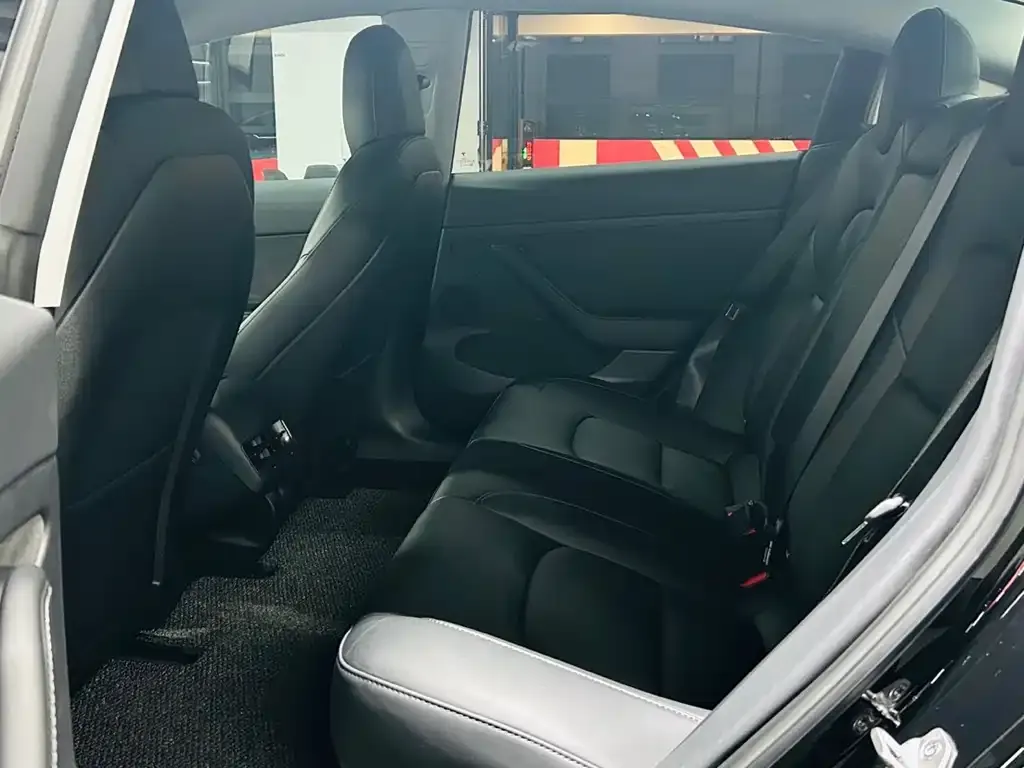 Tesla Model 3 2022 из CN, фото 4