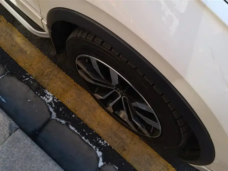Volkswagen Tiguan L 2021 из CN, фото 4