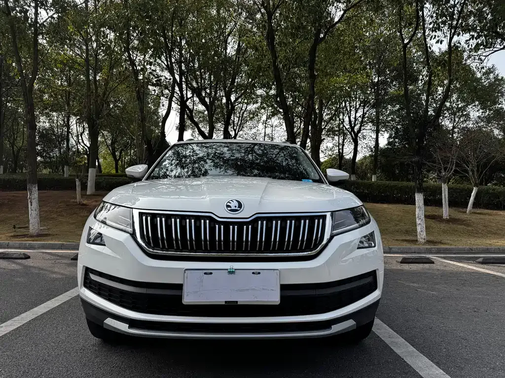Skoda Kodiaq — фото 5