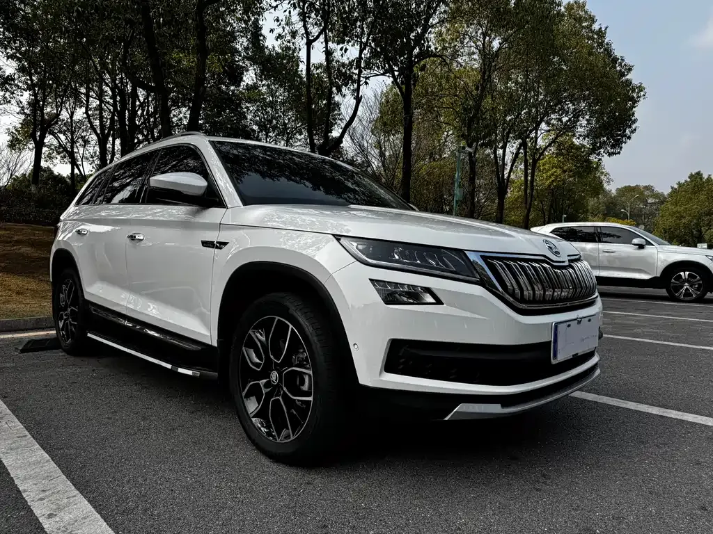 Skoda Kodiaq — фото 6