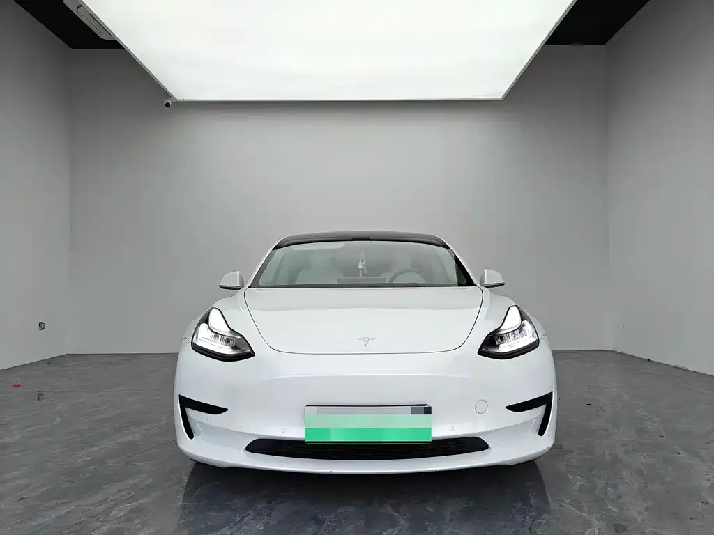 Tesla Model 3 2021 из CN, фото 3