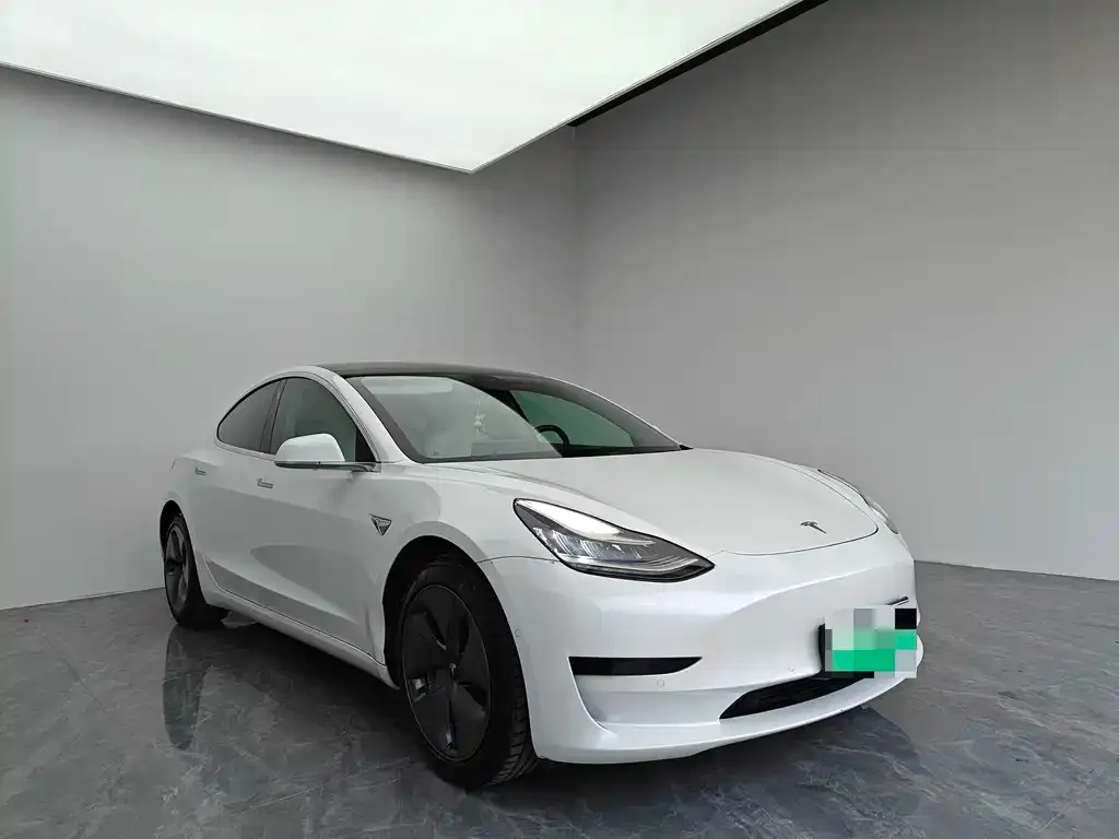 Tesla Model 3 2021 из CN, фото 2