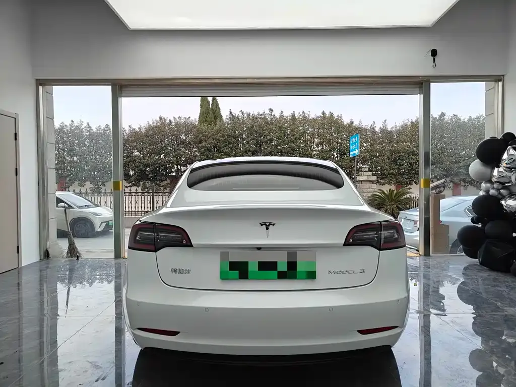 Tesla Model 3 2021 из CN, фото 9