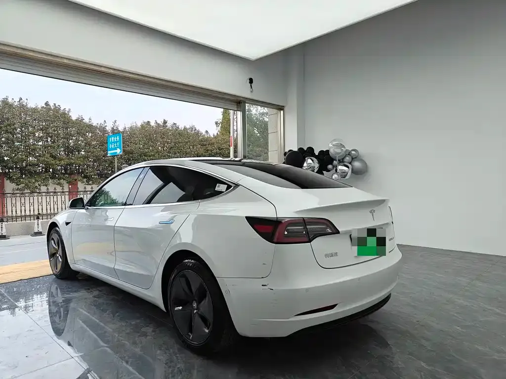 Tesla Model 3 2021 из CN, фото 6