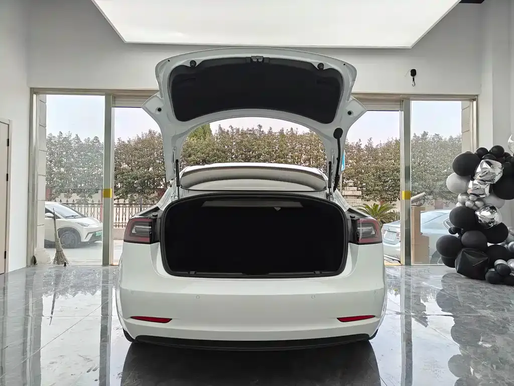 Tesla Model 3 2021 из CN, фото 7