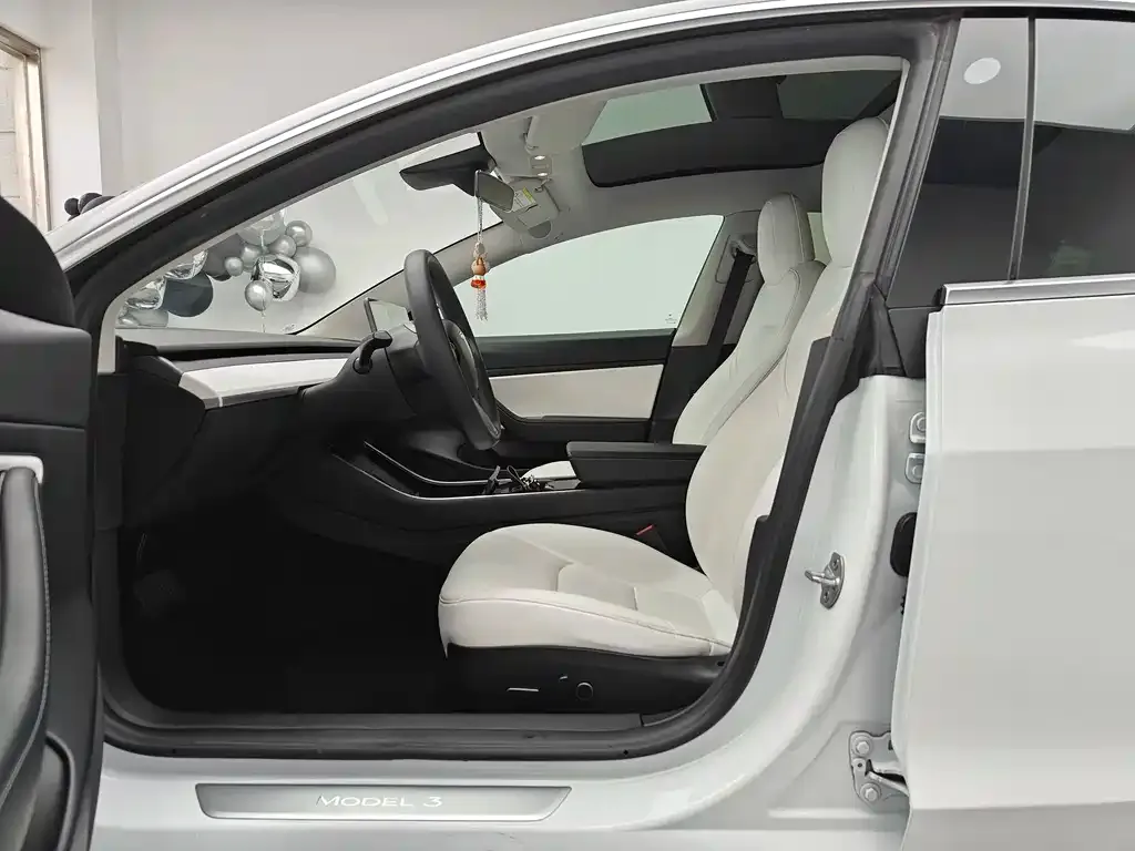 Tesla Model 3 2021 из CN, фото 4