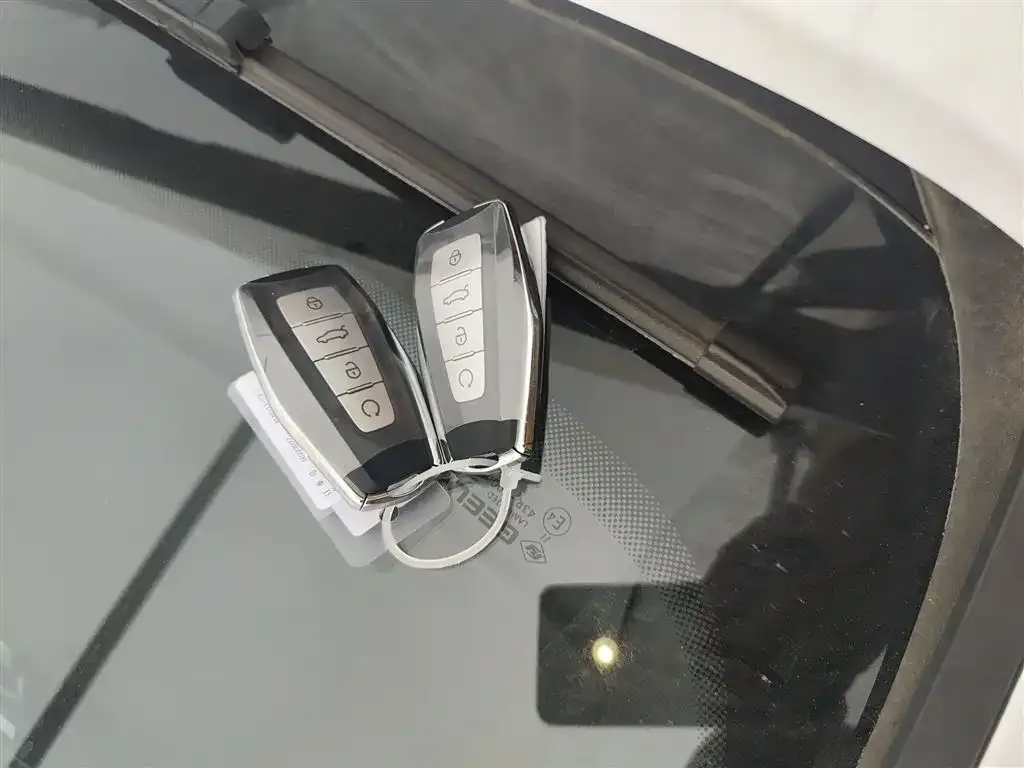 Geely Xingrui 2026 из CN, фото 2