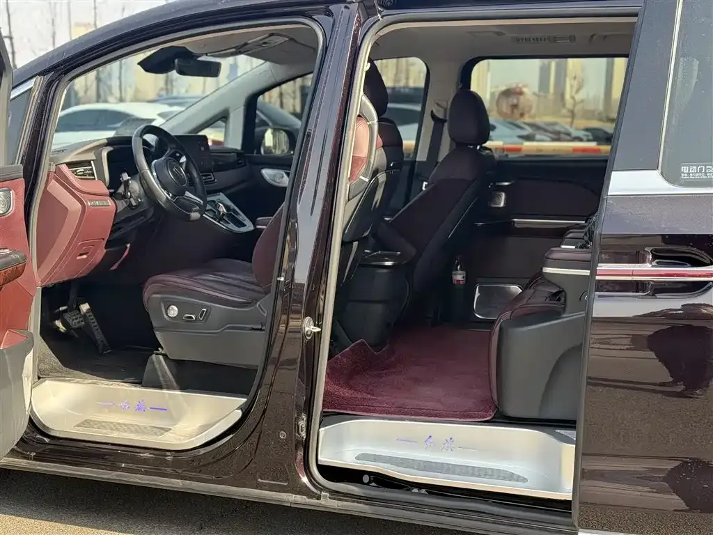 Hongqi HQ9 2023 из CN, фото 7