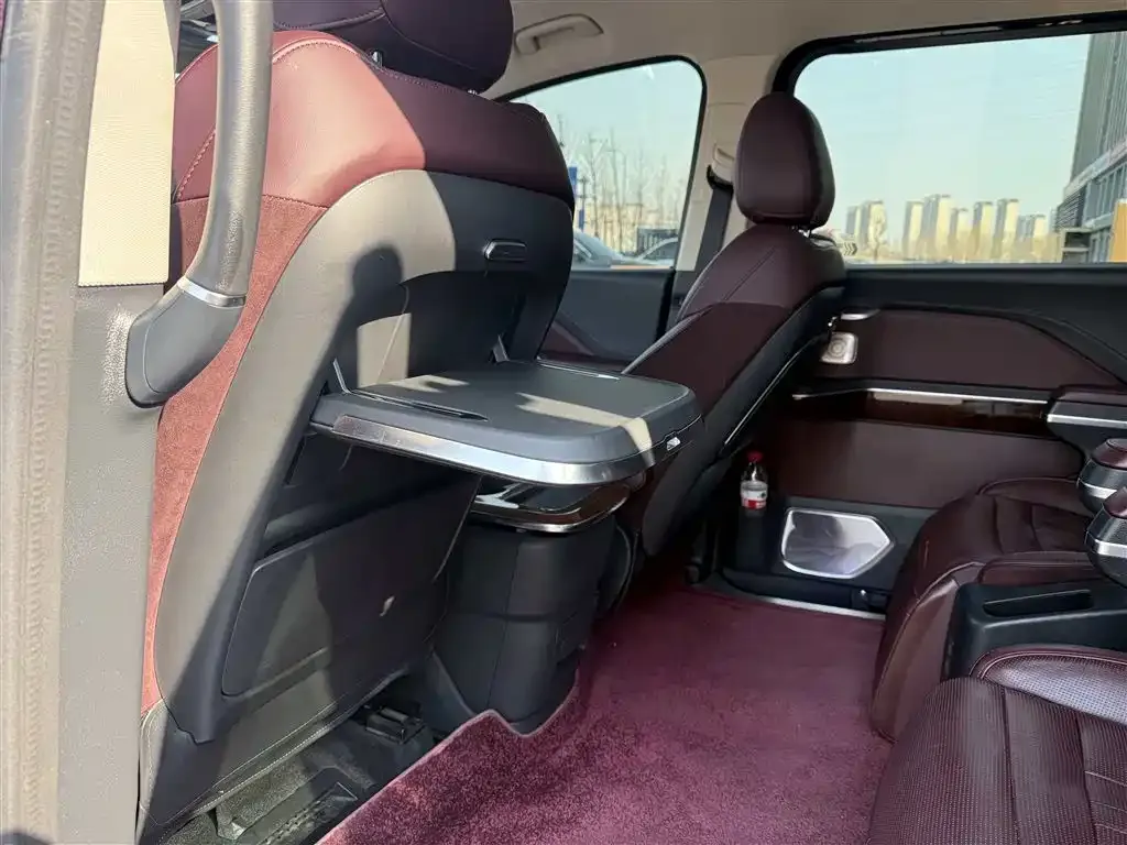 Hongqi HQ9 2023 из CN, фото 6