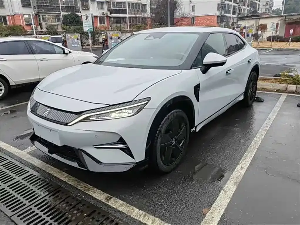BYD L EV