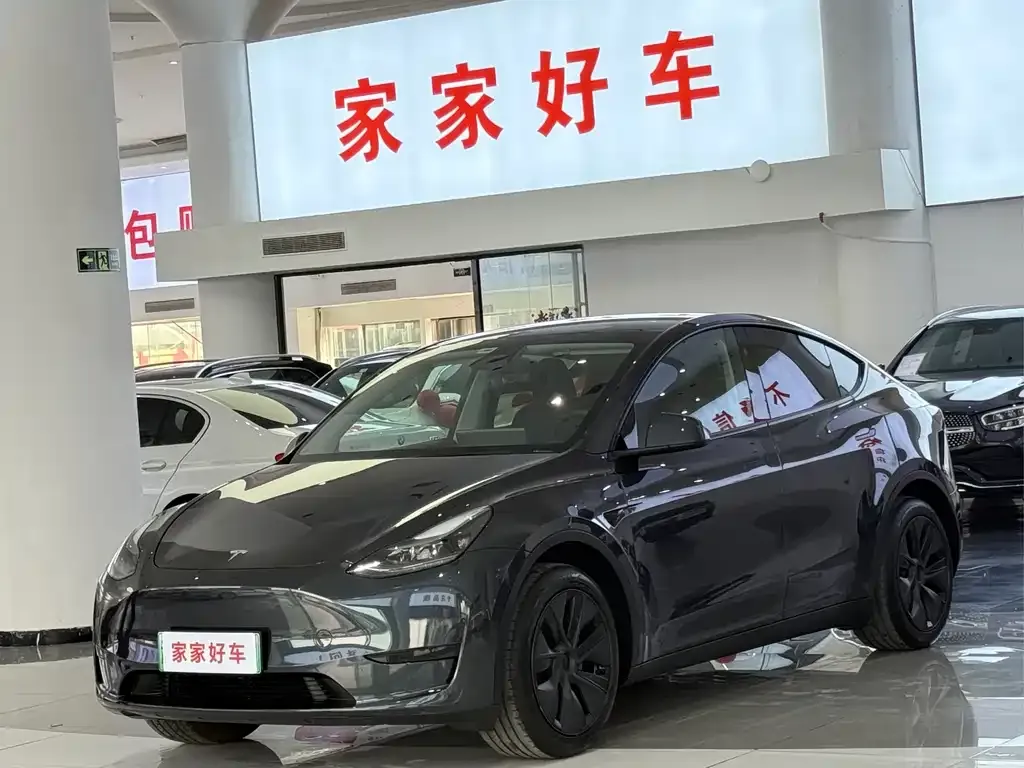 Tesla Model Y — фото 1