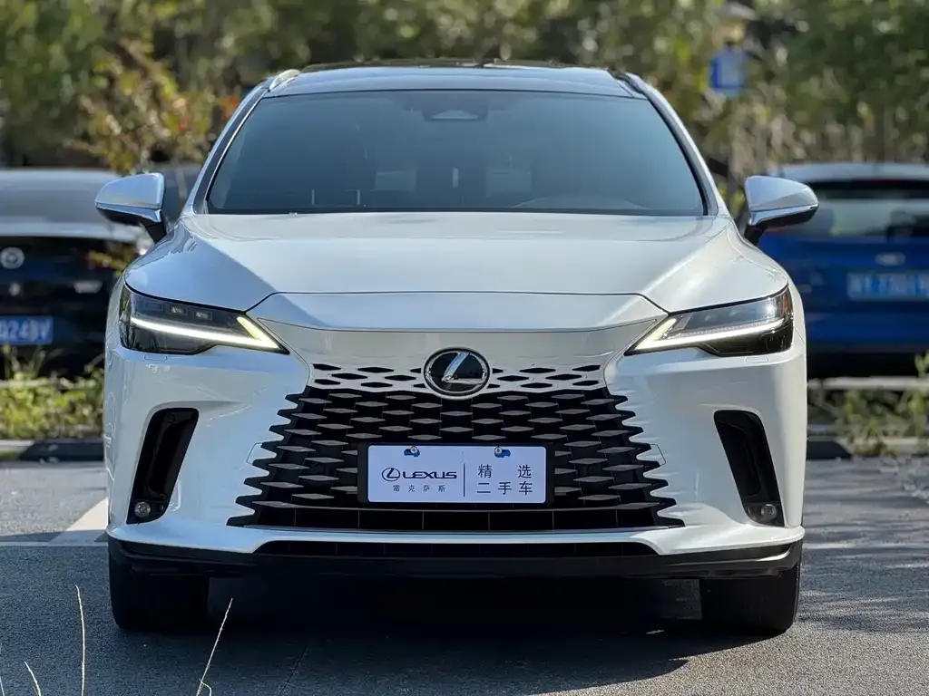 Lexus RX 2023 из CN, фото 9