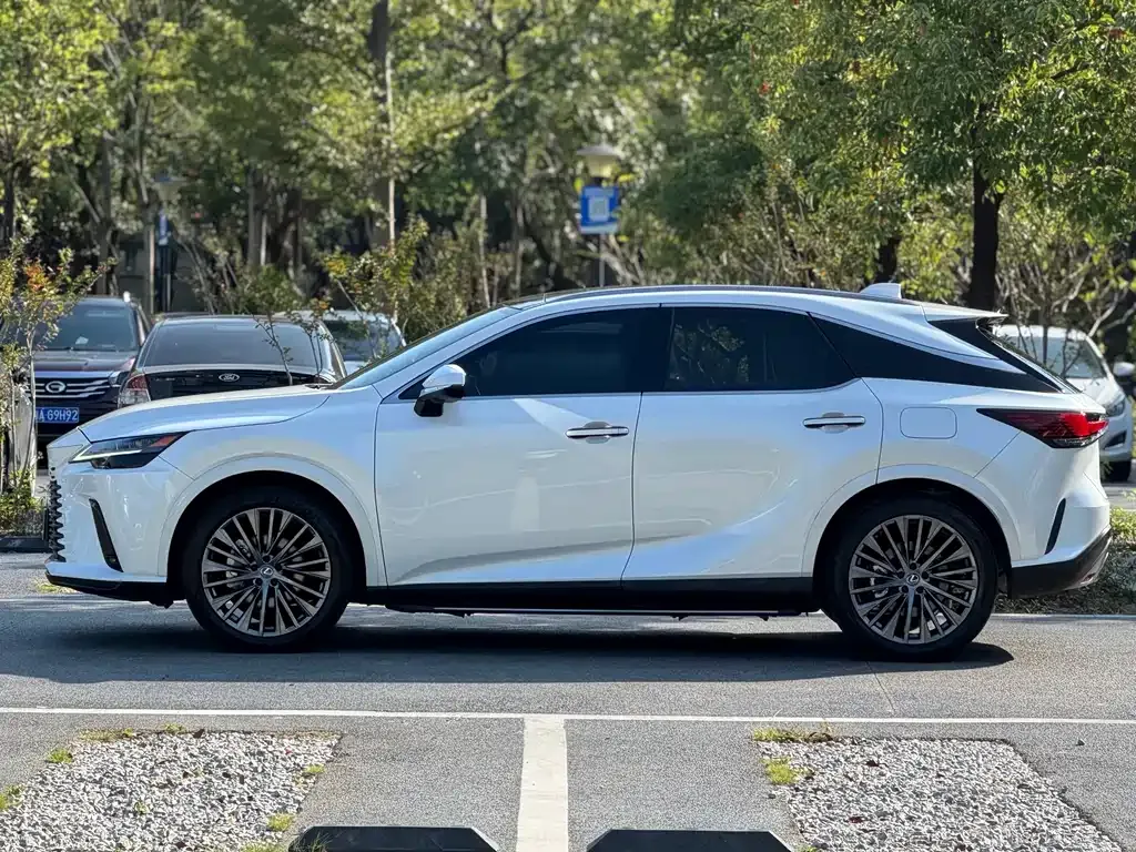 Lexus RX 2023 из CN, фото 10