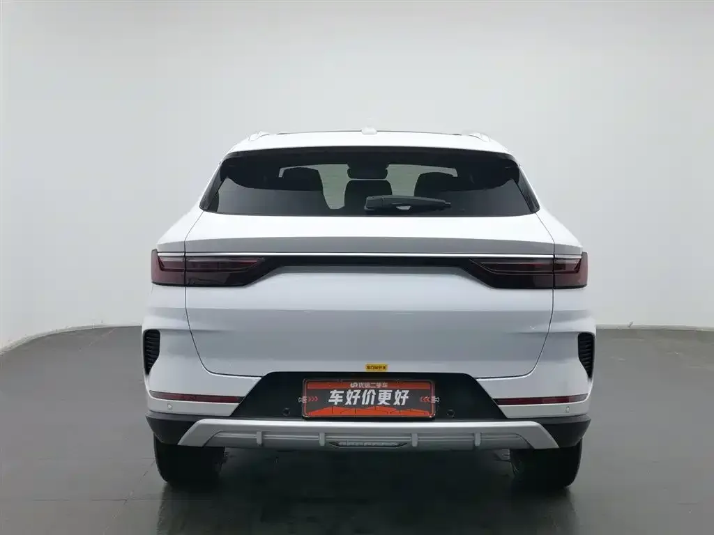 BYD PLUS New Energy 2022 из CN, фото 2