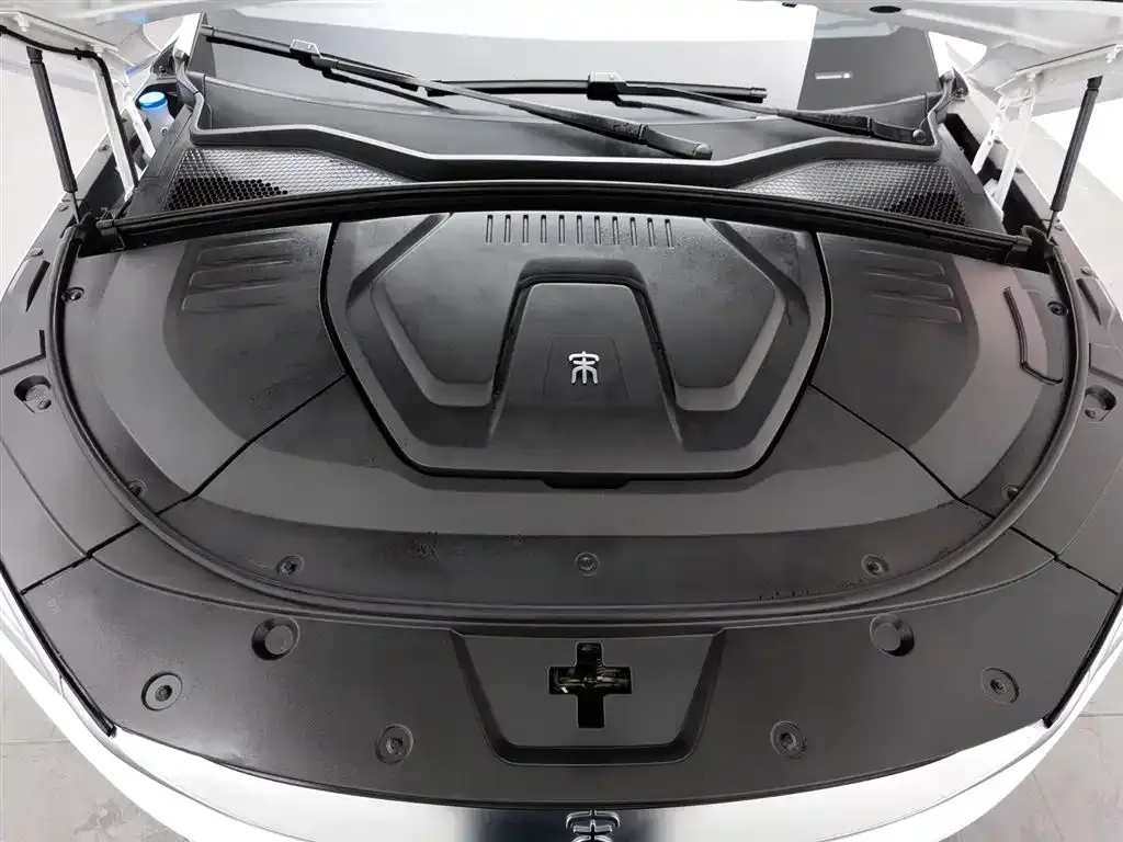 BYD PLUS New Energy 2022 из CN, фото 6
