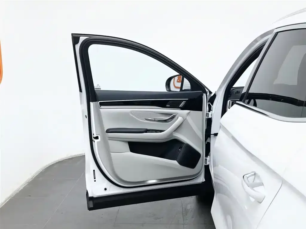 BYD PLUS New Energy 2022 из CN, фото 3