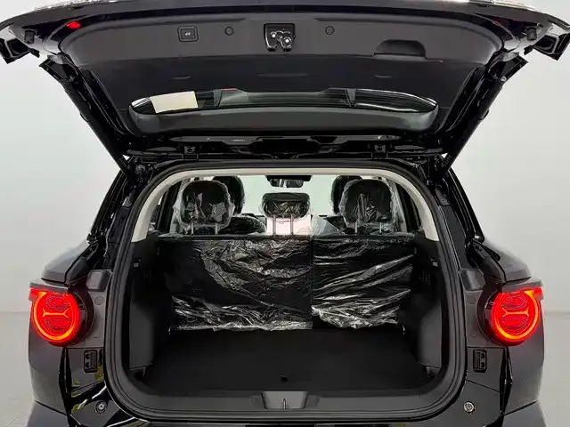Haval H7 (Big Dog Plus) New Energy — фото 6
